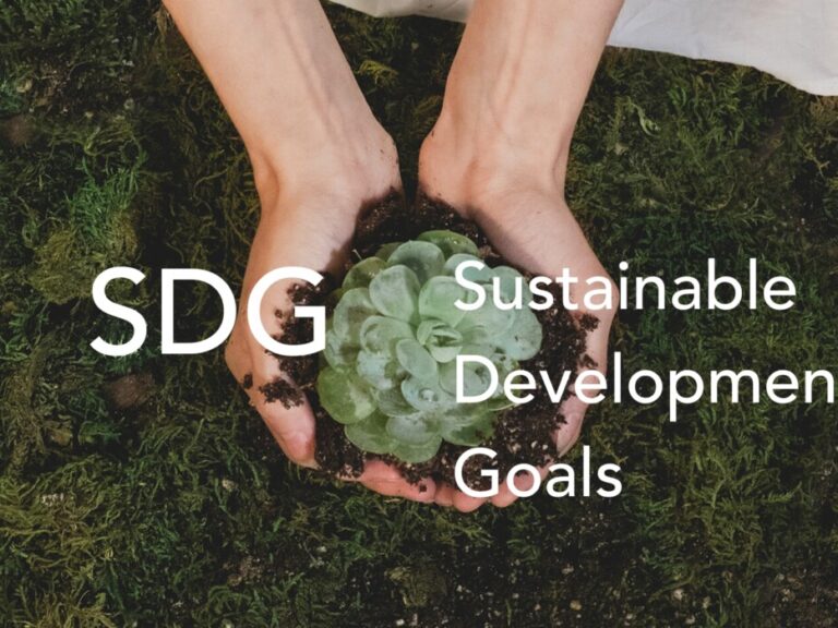 SDGs Explained_ What They Are and Why They Matter for Business
