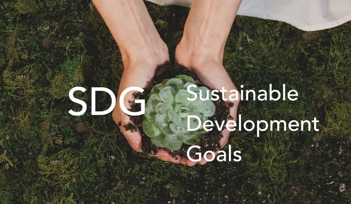 SDGs Explained_ What They Are and Why They Matter for Business
