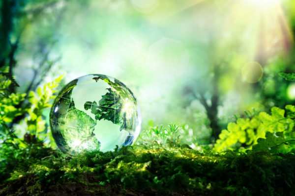 ABG-4 A beautiful green vous aide à obtenir le label ESR qui reconnaît les efforts des entreprises dans la gestion de leurs impacts ESG