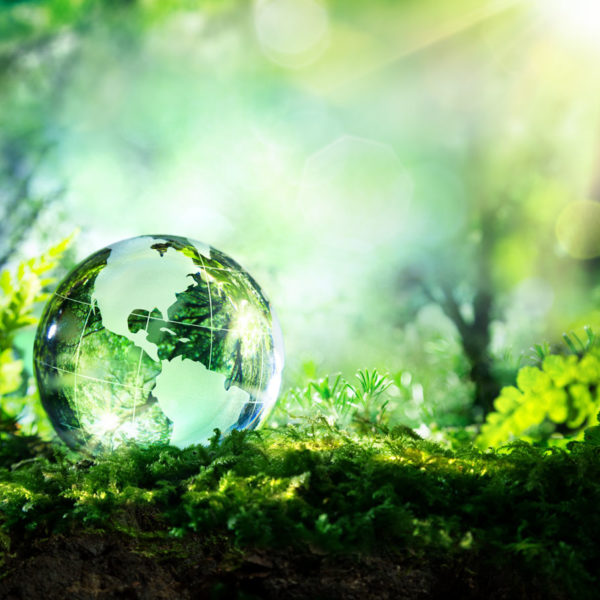 A beautiful green vous aide à obtenir le label ESR qui reconnaît les efforts des entreprises dans la gestion de leurs impacts ESG