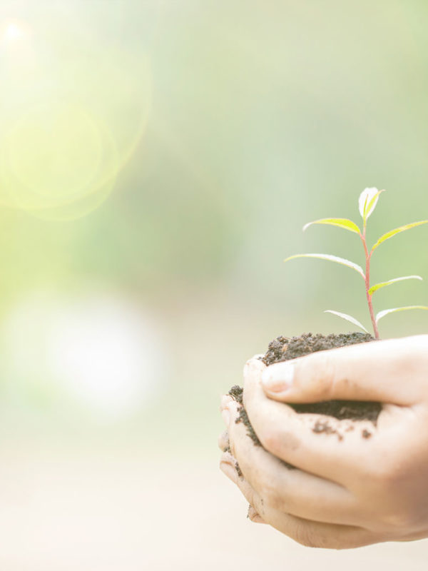 ABG A beautiful green vous aide à mettre en place une stratégie permettant une meilleure gestion de votre impact environnemental