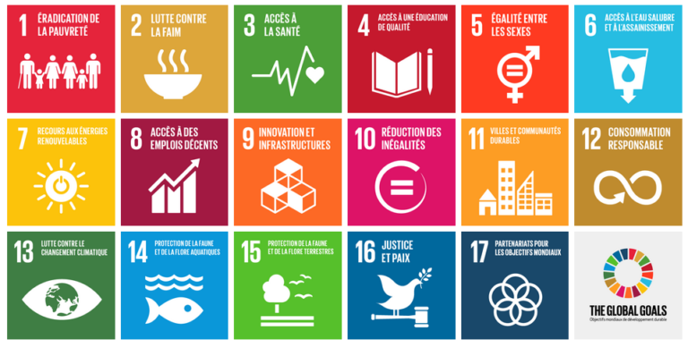 Consulterre - Agence Conseil En Développement Durable