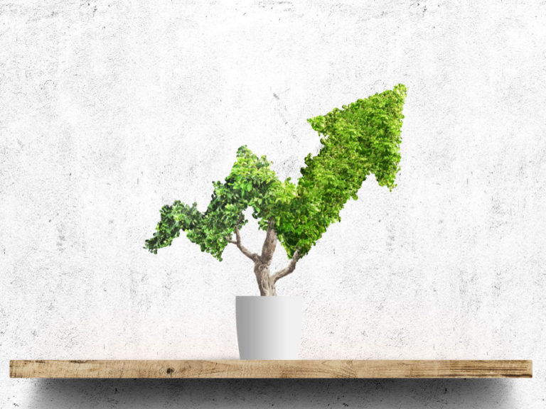 A beautiful green vous aide à mettre en place des actions durables pour un futur plus propre