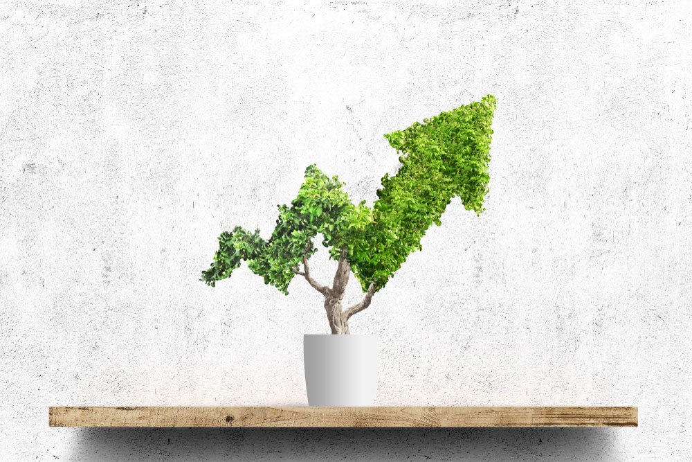 A beautiful green vous aide à mettre en place des actions durables