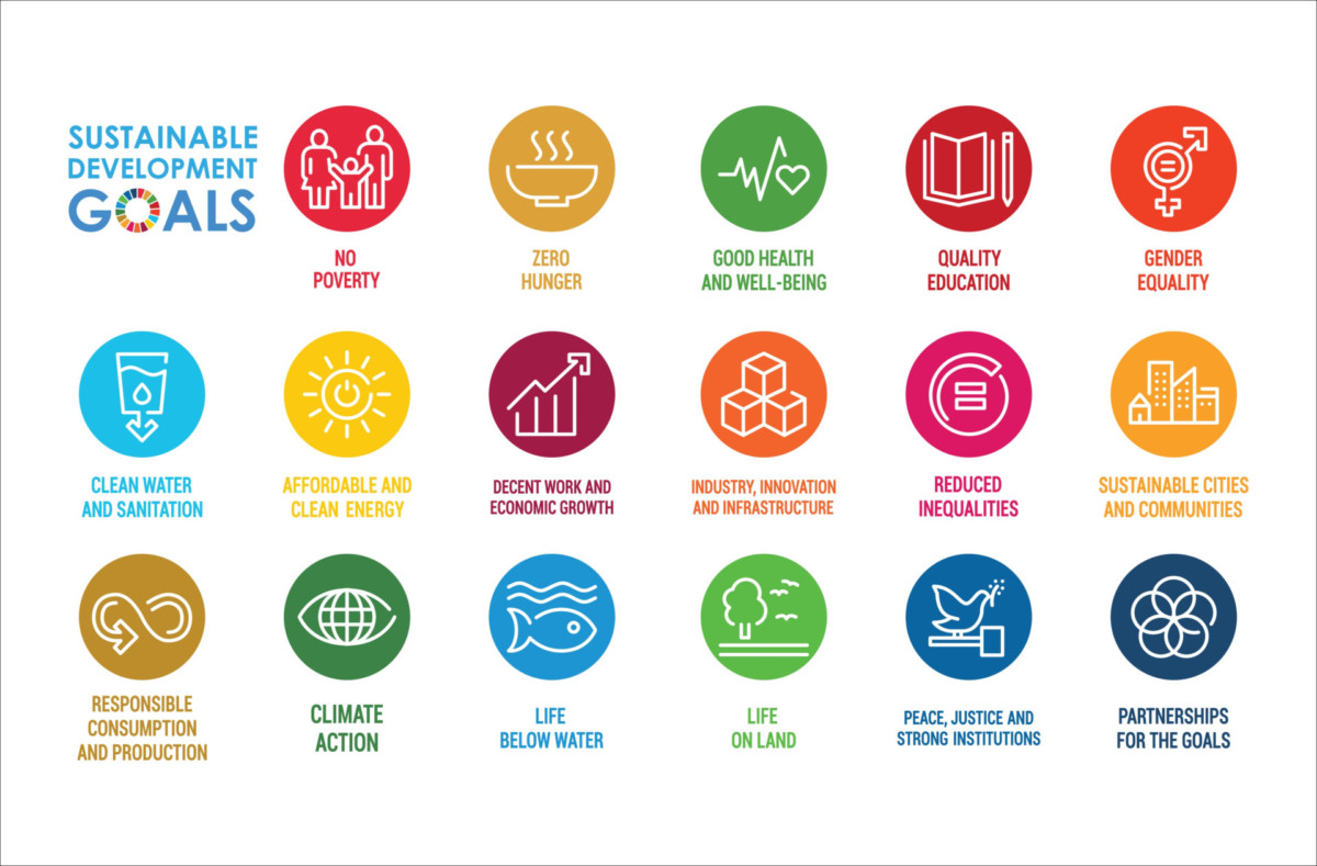 united nations sustainable development goals essay