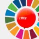 sustainable development goals-1 May
