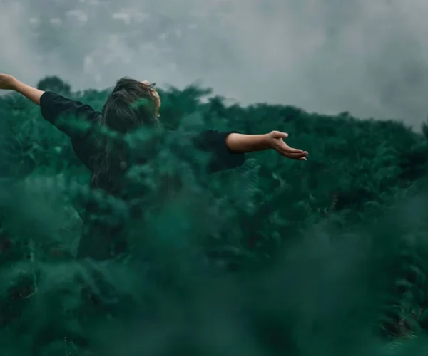 Services__ BCorp1 Services__ BCorp1